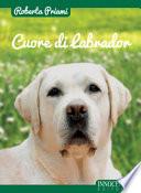 Cuore di labrador