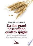 Da due grani nasceranno quattro spighe. Piccola antologia di insegnamenti di San Giovanni Bosco sulla preghiera