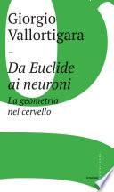 Da Euclide ai neuroni