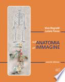 Dall'anatomia all'immagine