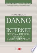 DANNO E INTERNET: PERSONA, IMPRESA, PUBBLICA AMMINISTRAZIONE