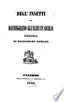 Degl'insetti che danneggiano gli ulivi in Sicilia memoria