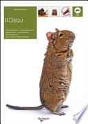 Degu