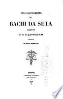 Dell'allevamento dei bachi da seta