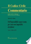 Dell'impossibilità sopravvenuta per causa non imputabile al debitore