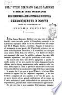 Dell'utile derivato dalle caserme e delle cure incessanti per condurre acqua potabile in Pistoia schiarimenti e prove offerti dal consigliere comunale Pietro Petrini
