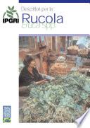 Descrittori per la Rucola (Eruca spp.)