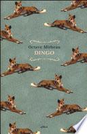 Dingo