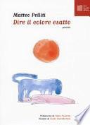 Dire il colore esatto
