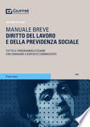 Diritto del lavoro e della previdenza sociale. Tutto il programma d'esame con domande e risposte commentate