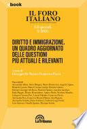 Diritto e immigrazione. Un quadro aggiornato delle questioni più attuali e rilevanti