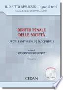 Diritto penale delle società