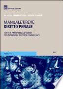 Diritto penale. Manuale breve. 2010 - Tutto il programma d'esame con domande e risposte commentate.