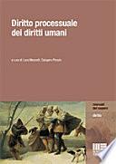 Diritto processuale dei diritti umani