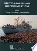 Diritto processuale dell'immigrazione