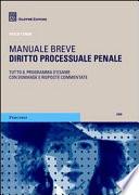 Diritto processuale penale. Manuale breve