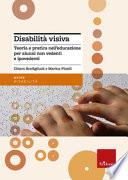 Disabilità visiva