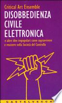 Disobbedienza civile elettronica e altre idee impopolari: come sopravvivere e resistere nella società del controllo