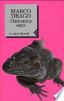 Domenica sera