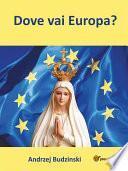 Dove vai Europa?