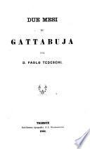 Due mesi in Gattabuja