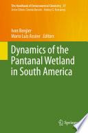 Dynamics of the Pantanal Wetland in South America