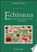 Echinacea. La pianta che stimola le difese immunitarie
