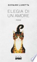 Elegia di un amore