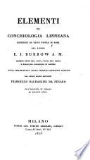 Elementi di Conchiologia Linneana (etc.)