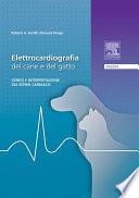Elettrocardiografia del cane e del gatto