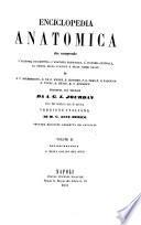 Enciclopedia anatomica che comprende l'anatomia descrittiva, l'anatomia patologica, l'anatomia generale, la storia dello sviluppo e delle razze umane