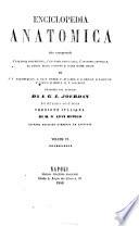 Enciclopedia anatomica che comprende l'anatomia descrittiva, l'anatomia patologica, l'anatomia generale, la storia dello sviluppo e delle razze umane