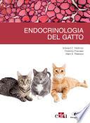 Endocrinologia del gatto