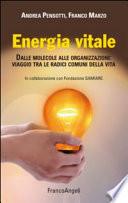 Energia vitale. Dalle molecole alle organizzazioni: viaggio tra le radici comuni della vita