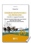Energie rinnovabili da biomasse: rischi e opportunità