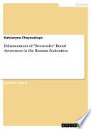 Enhancement of Beesender Brand Awareness in the Russian Federation