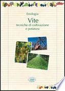 Enologia. Vite: tecniche di coltivazione e potatura - Verde e natura
