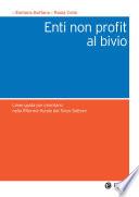 Enti non profit al bivio
