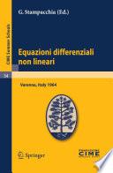 Equazioni differenziali non lineari