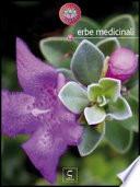 Erbe medicinali - Star bene