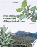 Erbe spontanee commestibili della provincia di Cuneo