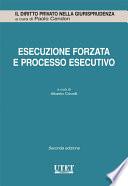 Esecuzione forzata e processo esecutivo (in 3 tomi)
