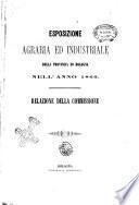 Esposizione agraria ed industriale della provincia di Bologna nell'anno 1869 relazione della commissione