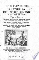 Esposizione anatomica della struttura del corpo umano