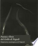 Fauna e flora del Golfo di Napoli