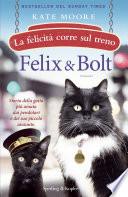 Felix & Bolt. La felicità corre sul treno