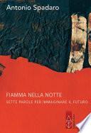 Fiamma nella notte