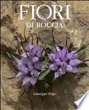 Fiori di roccia