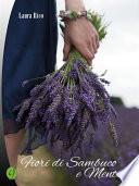 Fiori di sambuco e menta