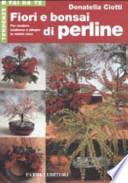 Fiori e bonsai di perline